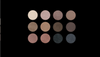 JA 12-Well Eyeshadow Palette/Nude Ambition